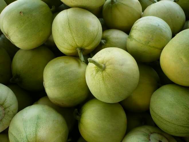 陕西咸阳市礼泉县梨瓜 0.5斤以上批发_刘盟供