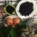 夏黑葡萄干无核一级