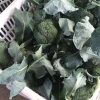 丰县凤侠果蔬种植家庭农场的一亩田店铺