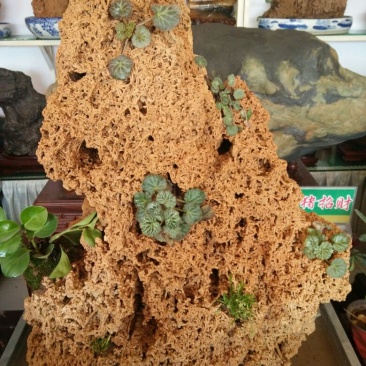 上水石石质上品形状各异质量保证规格齐全发货及时