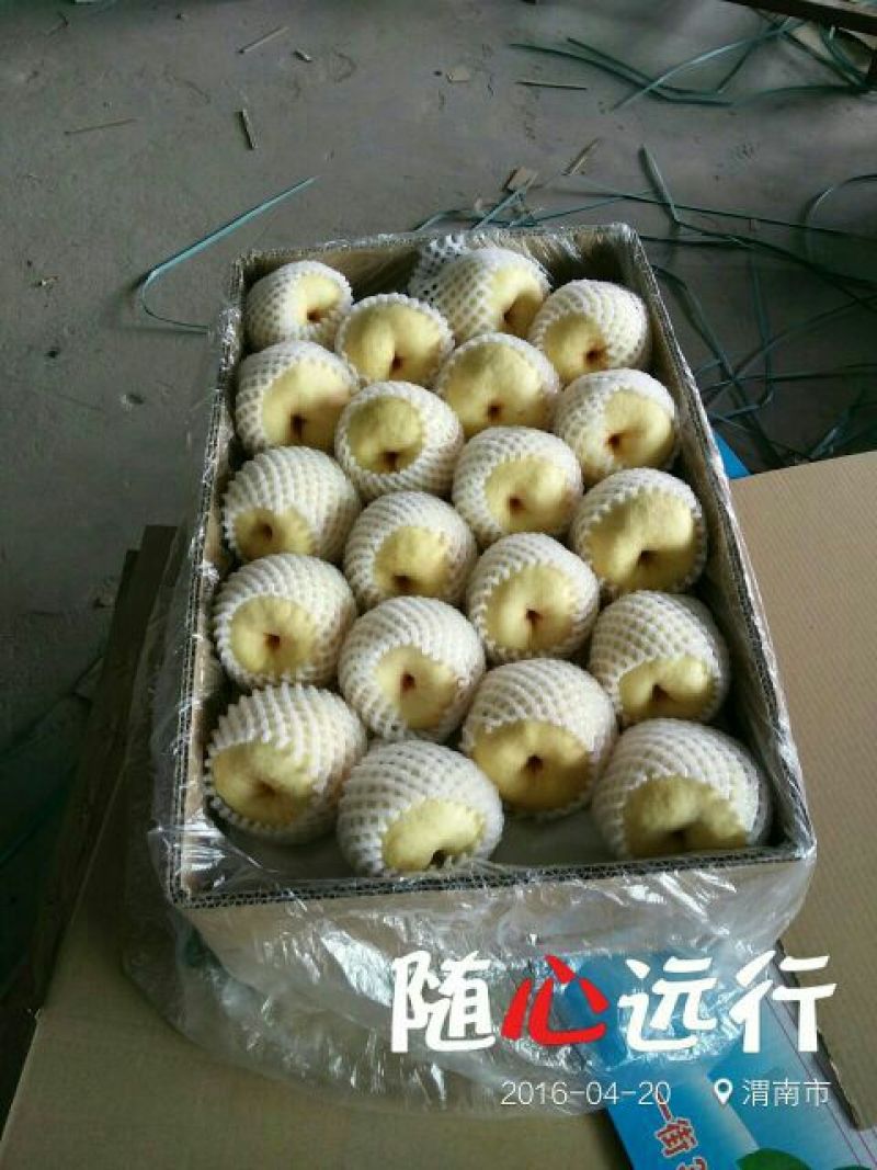 贡梨250~300g纸袋