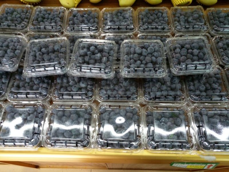 蓝莓12~14mm以上