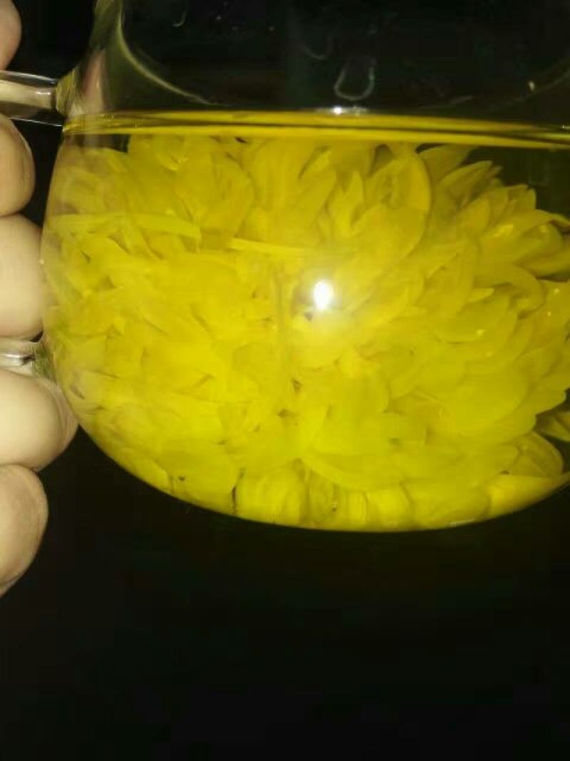 皇菊茶特级
