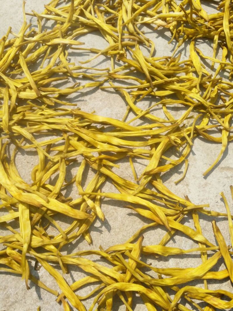 干黄花菜散装一级