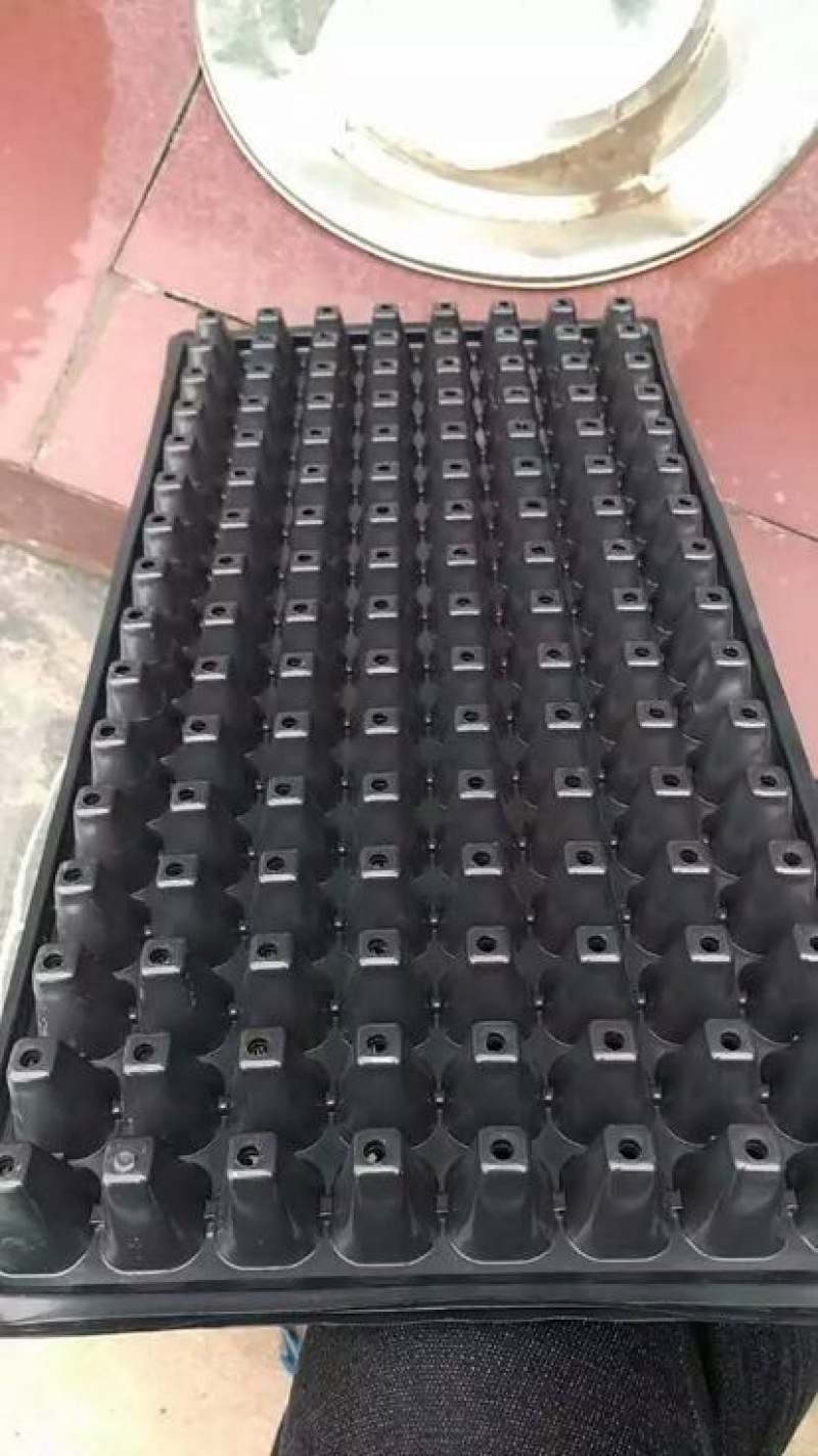 穴盘