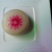 菜饼