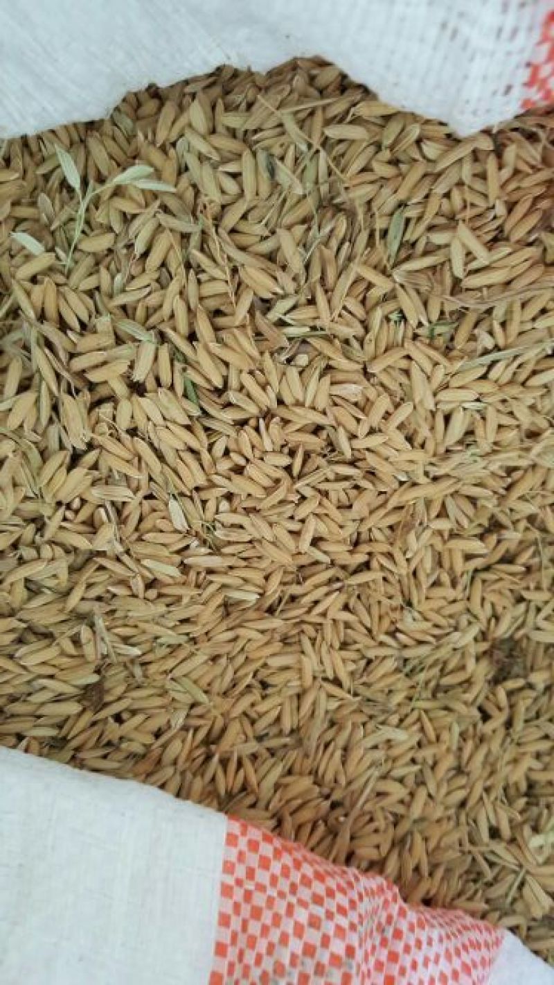绿壳鸡蛋食用40~50g