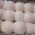 皇冠梨350~400g纸袋