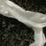 干木耳一级