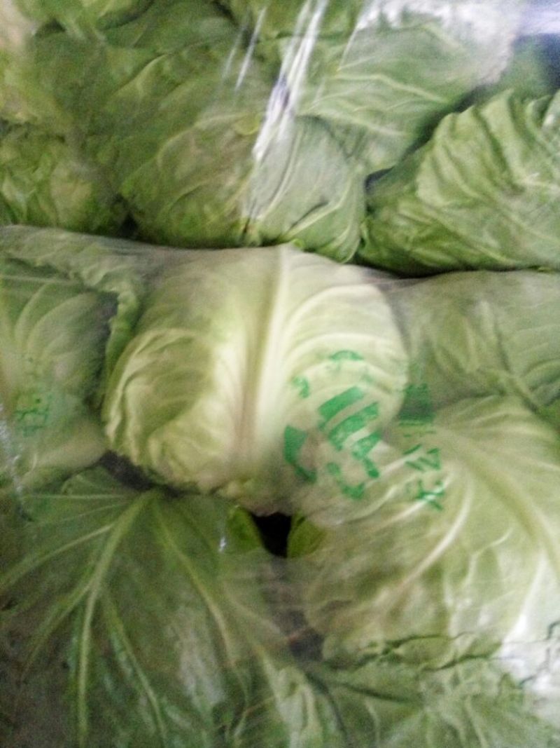 圆包菜1~1.5斤精品绿甘蓝！色泽亮并且绿！
