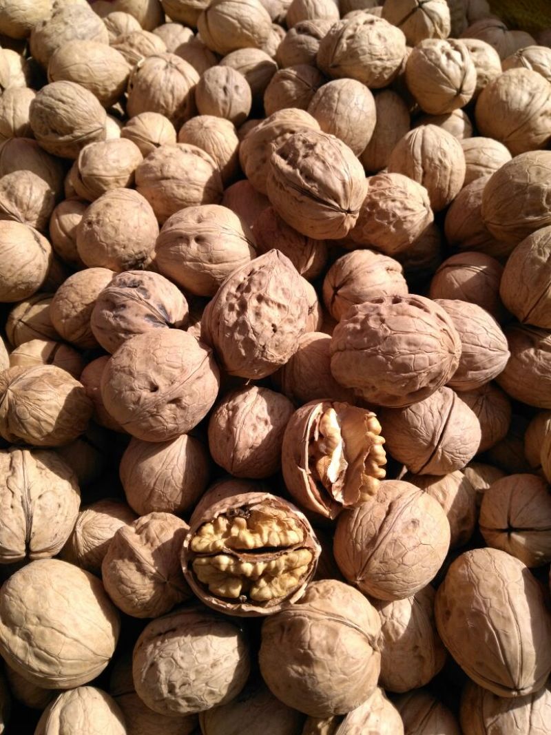 薄皮核桃去皮干