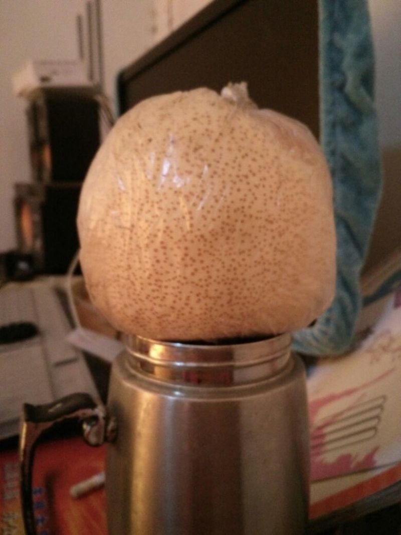 砀山梨300~350g膜袋