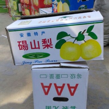 酥梨