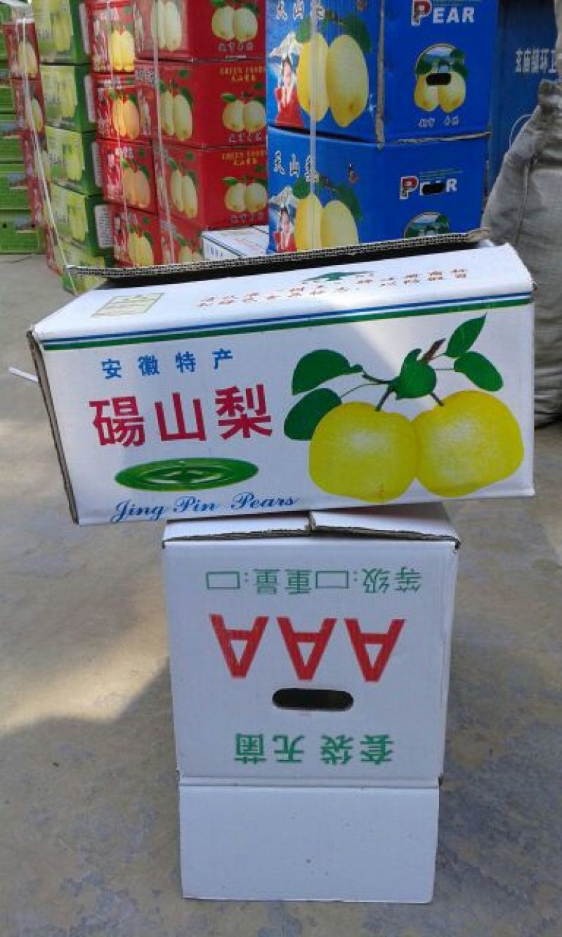酥梨
