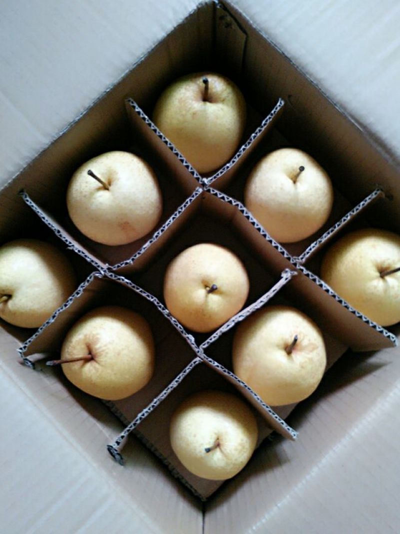 晚秋黄梨纸箱
