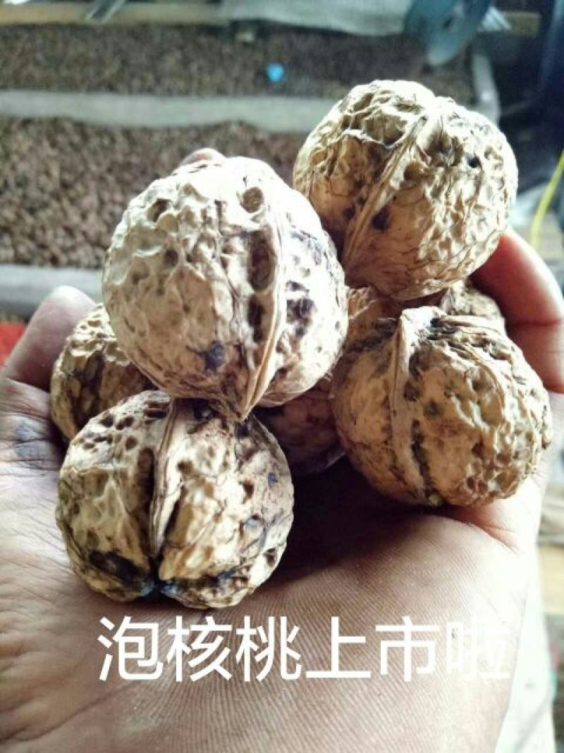大泡核桃30mm以上去皮