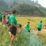 野鲤食用0.5~1公斤