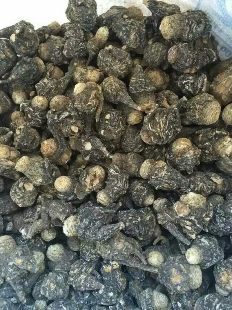 黑玛卡黑色