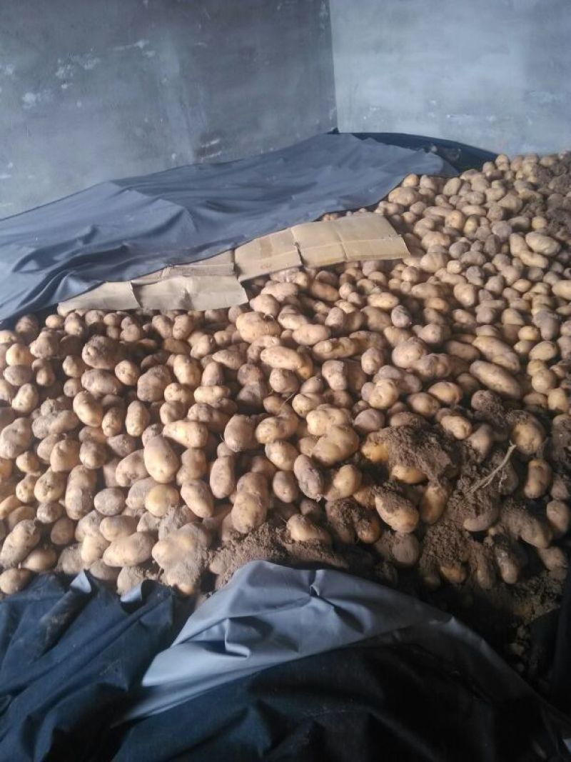 皇冠梨60~100g纸加膜