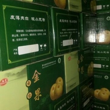 沙澧特晚秋黄梨450~500g纸箱