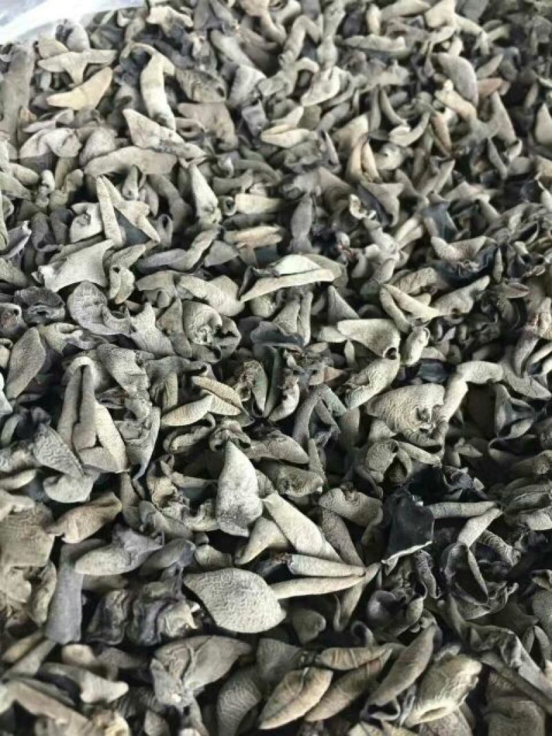 秋耳特级