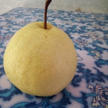 礼泉酥梨200~250g纸箱