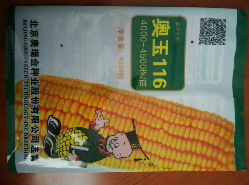 玉米种子