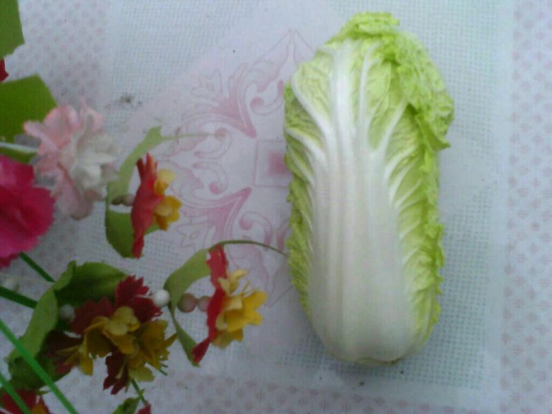 大白菜