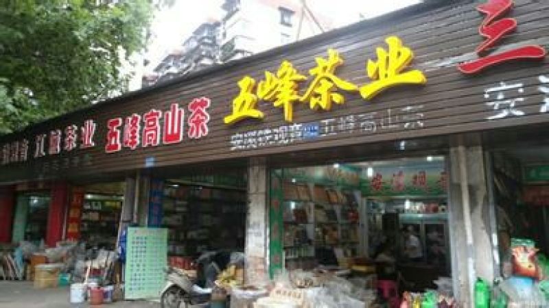 五峰绿茶