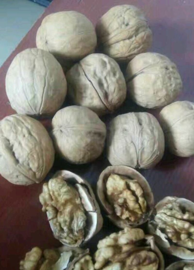薄皮核桃去皮干