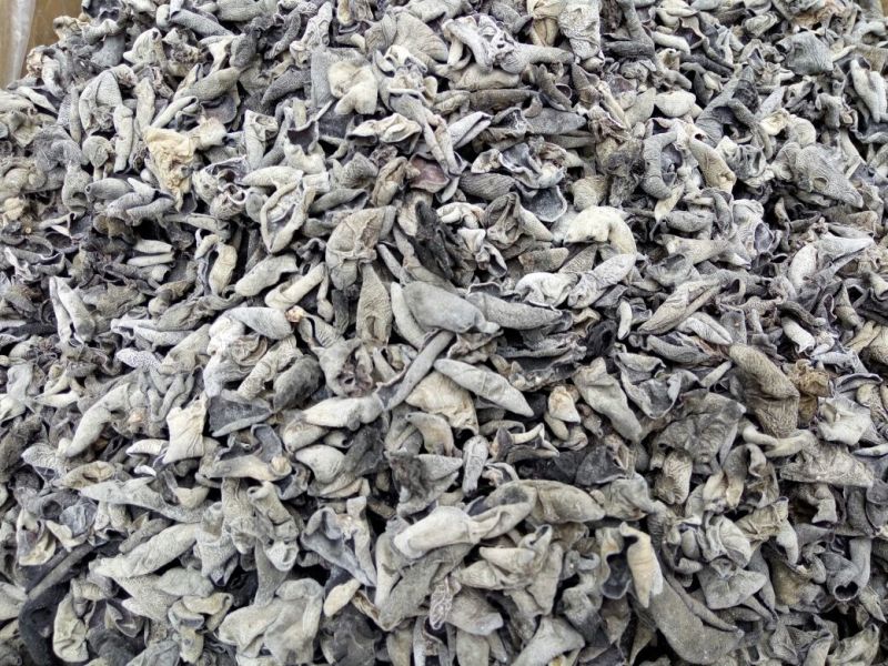 黑山秋耳特级