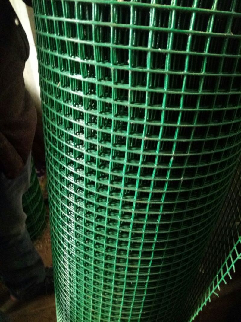 荷兰网50*50mm