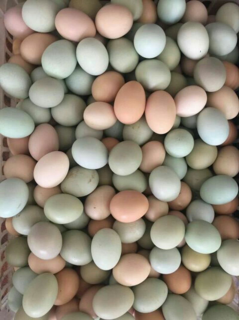 绿壳鸡蛋食用40~50g