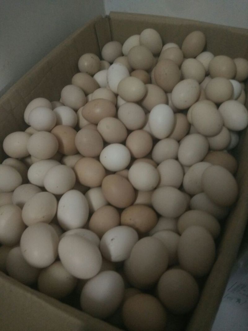 土鸡蛋食用50~60g