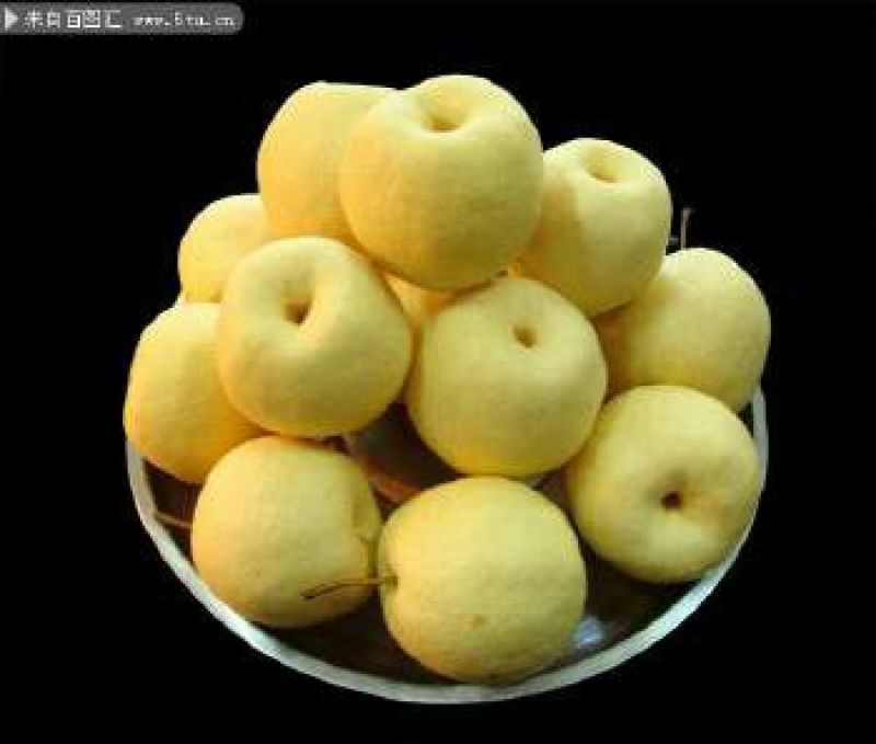 砀山梨500~550g纸箱