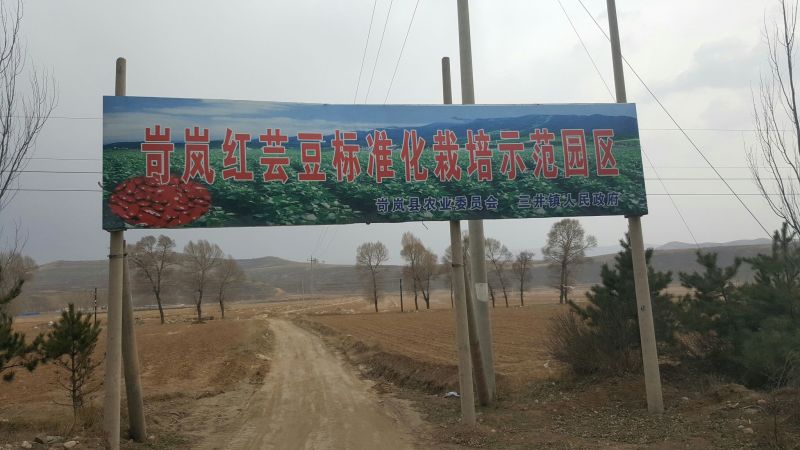 山西岢岚县英国红红芸豆一盒6斤包邮