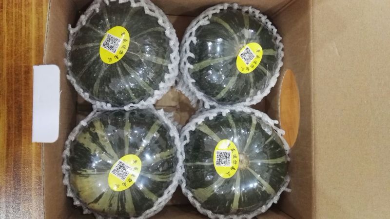 贝贝南瓜4~6两扁圆形