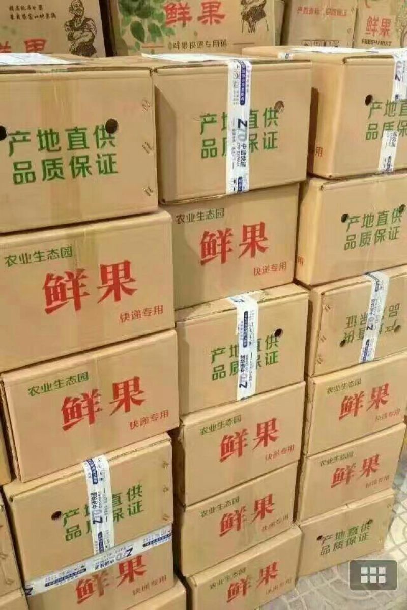 礼泉酥梨200~250g纸袋