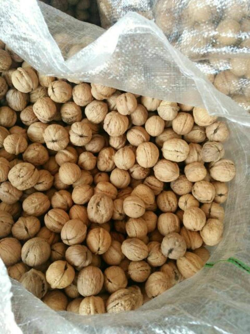 薄皮核桃30mm以上去皮