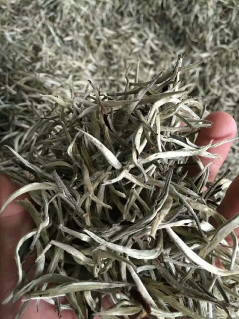 普洱茶散茶