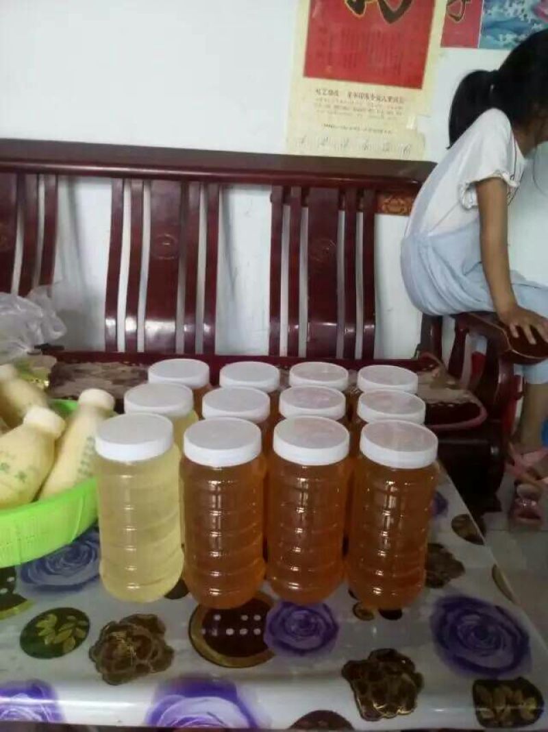 荆条蜜枣花蜜基地直发保质保量全国发货售后无忧