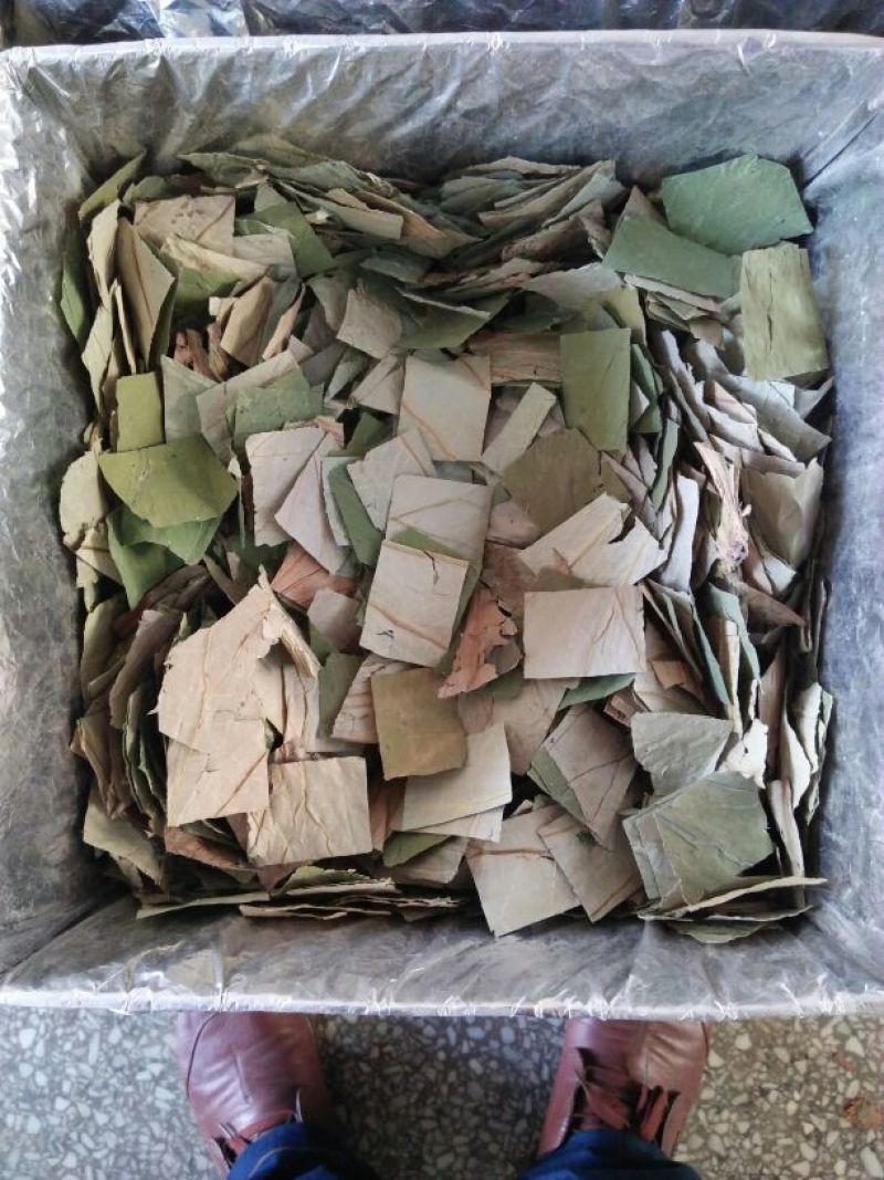 荷叶统货20cm以下