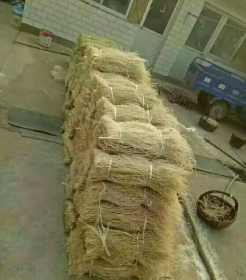 粉丝散装