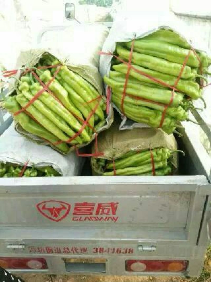 尖椒