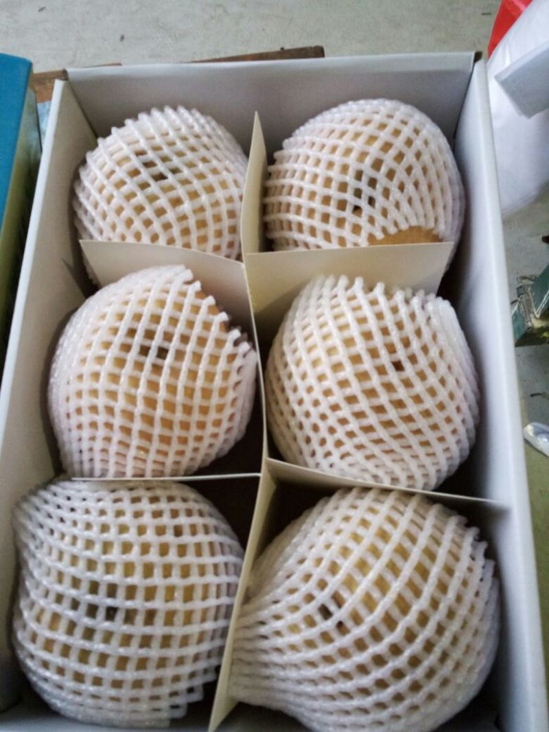 黄晶梨550~600g纸箱