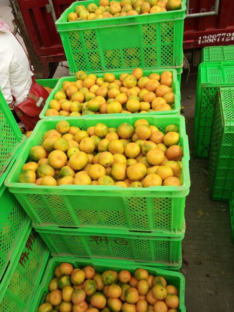 云南华宁特早精品蜜桔