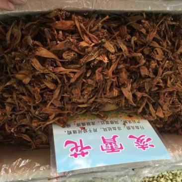凌霄花