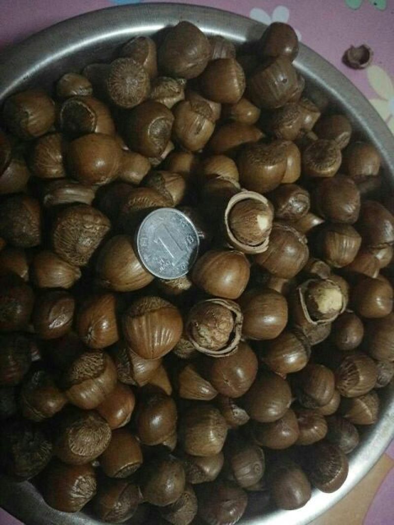 榛子一级
