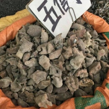 伍倍子