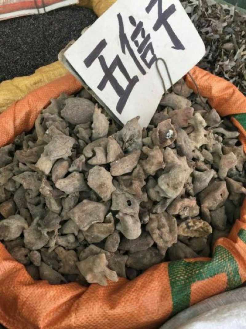 伍倍子